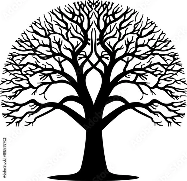 Fototapeta Leafless Tree Silhouette