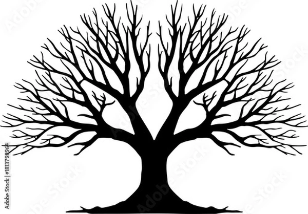 Fototapeta Leafless Tree Silhouette