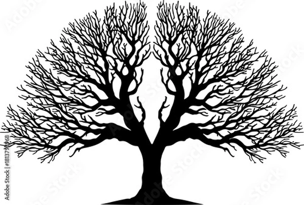 Fototapeta Leafless Tree Silhouette