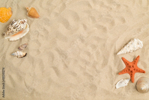 Fototapeta Seashells on sand with white paper in center