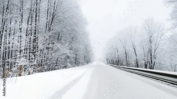 Obraz winter road in the forest