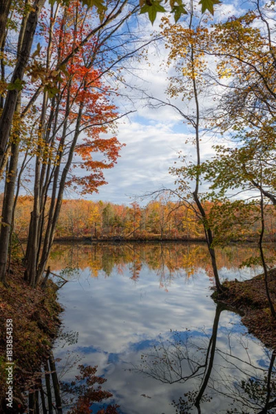 Obraz Autumn Lake Landscape