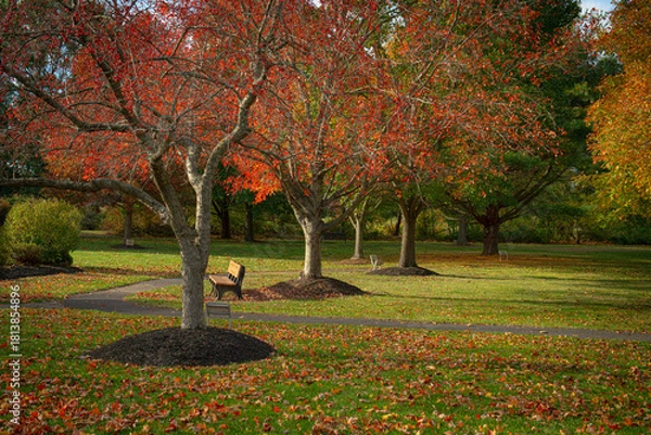 Obraz Monroe Arboretum