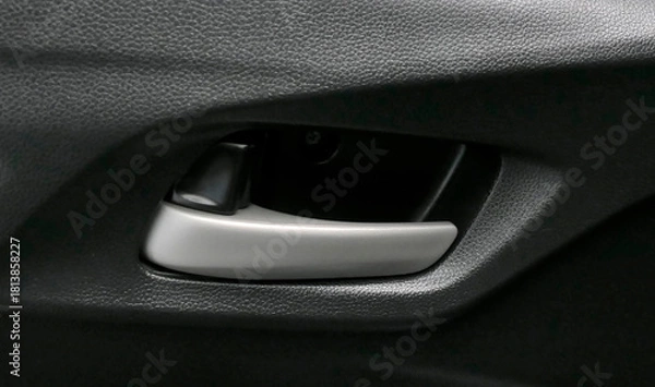 Obraz Car door handle with lock button