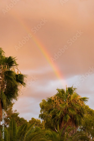 Fototapeta Rainbow at sunset