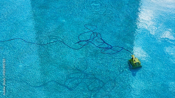 Obraz Swimming Pool Cleaning Robot