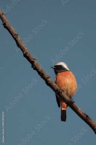 Obraz 東京港区南青山2丁目の風景