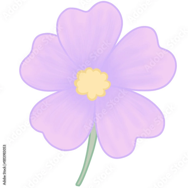 Obraz Cosmos Flower – Purple