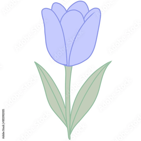 Obraz Tulip – Blue