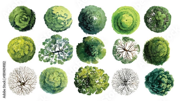Obraz Collection of fifteen diverse green and bare trees viewed from directly above in a top down perspective with varied foliage textures and branch structures