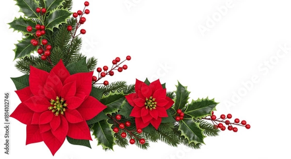 Obraz Christmas corner decoration with bright red poinsettia flower, green holly leaf, fir branch, and red berry isolated on transparent background
