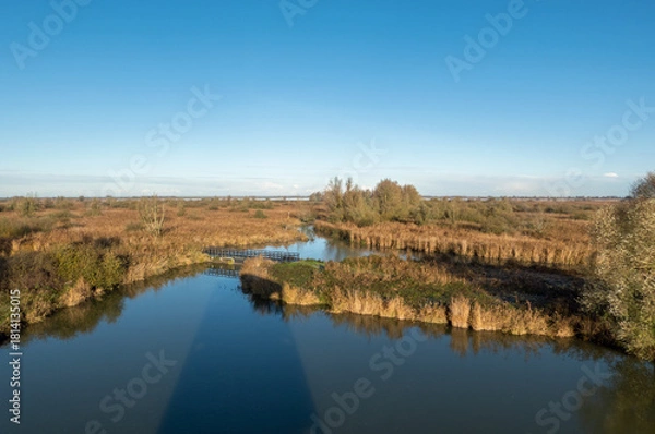 Obraz Panoramic view from Roerdump observation tower over Oostvaardersplassen national park on a winter morning, Netherlands