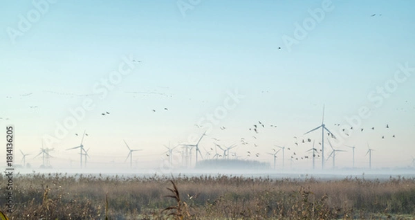 Fototapeta Sunrise over Oostvaardersplassen national park on a bright winter morning, with windturbines and power lines in the background, Flevoland,  Netherlands