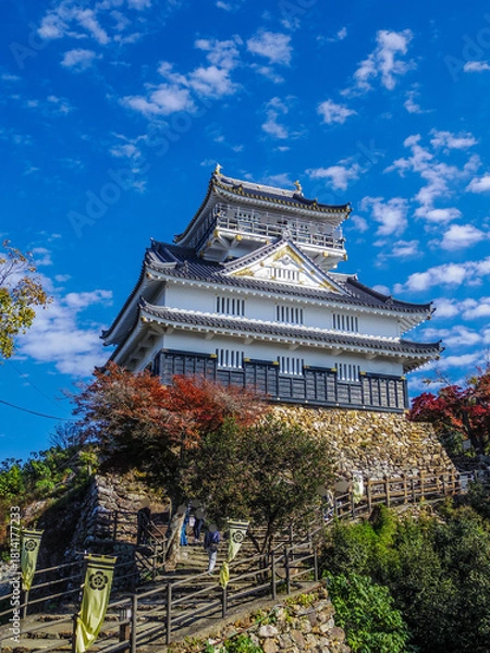 Obraz 【岐阜県】岐阜市・岐阜城