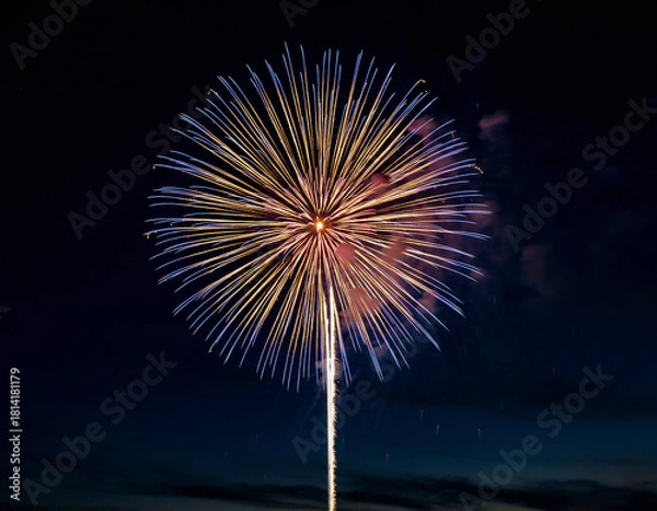 Fototapeta A burst of vibrant colors lights up the dusk sky, with shimmering trails spreading above a distant crowd.