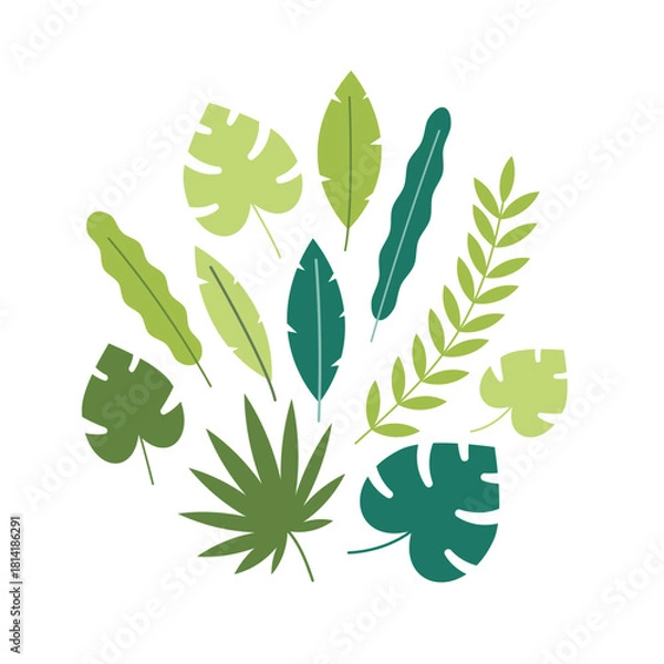 Obraz Tropical leaves collection. Jungle foliage vector illustration. Botanical decoration element set for design projects and summer concepts.