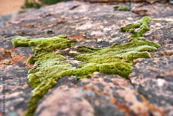 Obraz Südafrika Cederberge 