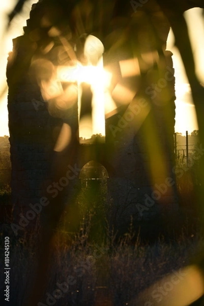 Obraz sun rays through the trees