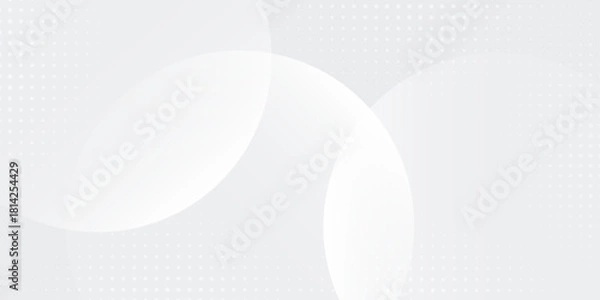 Fototapeta White geometric abstract background overlap layer on bright space with lines effect decoration. circle modern concept