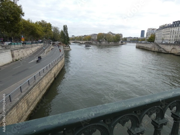 Obraz La seine à Paris