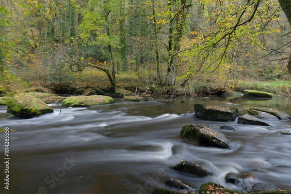 Obraz La rivière du Léguer en Bretagne