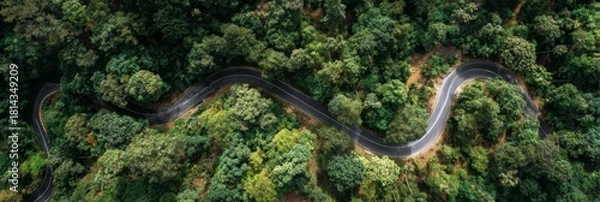 Fototapeta Aerial Scenic Highway Curving Deep Into Tropical Woodland