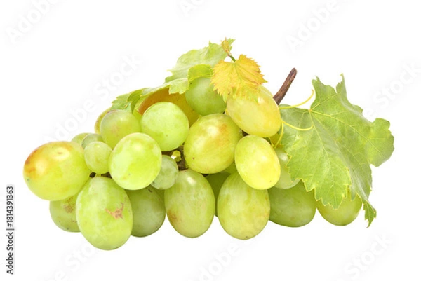 Obraz Bunch of grapes on white background