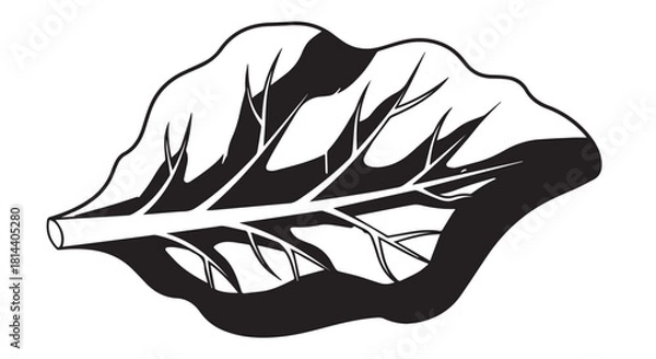 Obraz Monochrome leaf illustration with detailed venation and bold silhouette.