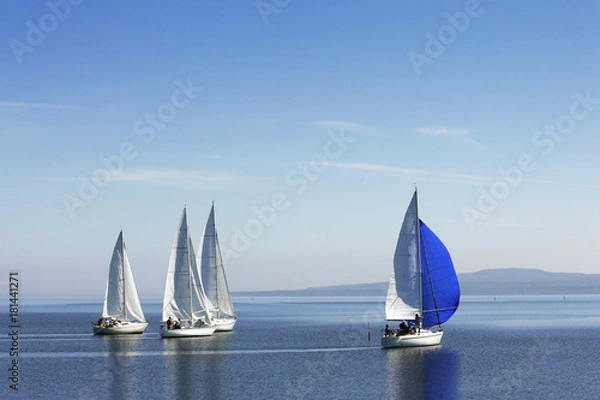 Fototapeta sailing