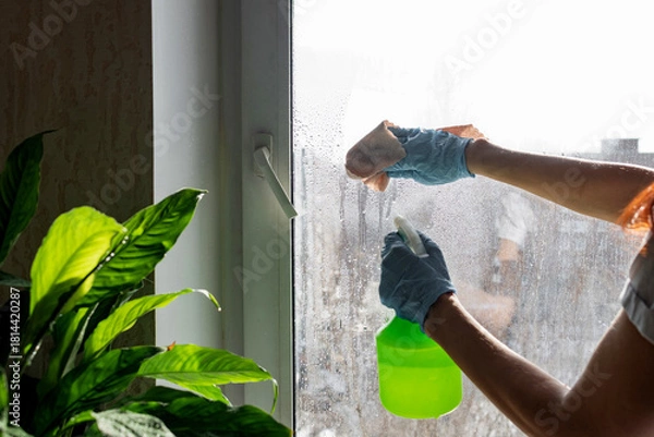 Fototapeta A hand holds a green spray bottle, misting water over lush indoor plants by a sunny window, creating a refreshing and healthy environment for plant care.