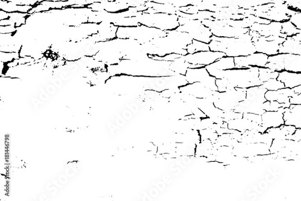 Obraz Distressed halftone grunge black and white vector texture -old wood bark texture background with cracks for creation abstract vintage design effect with noise and grain