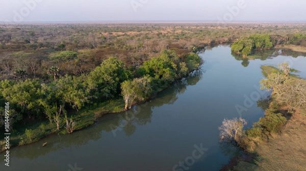 Obraz Close-up portrait of a giraffe in a wildlife sanctuary, highlighting its gentle expression and natural habitat.