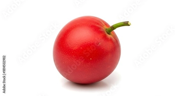 Fototapeta Single bright red holly berry with a small stem isolated on white background