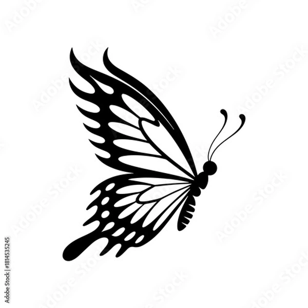 Obraz Grateful Butterfly Clip Art Vector Design