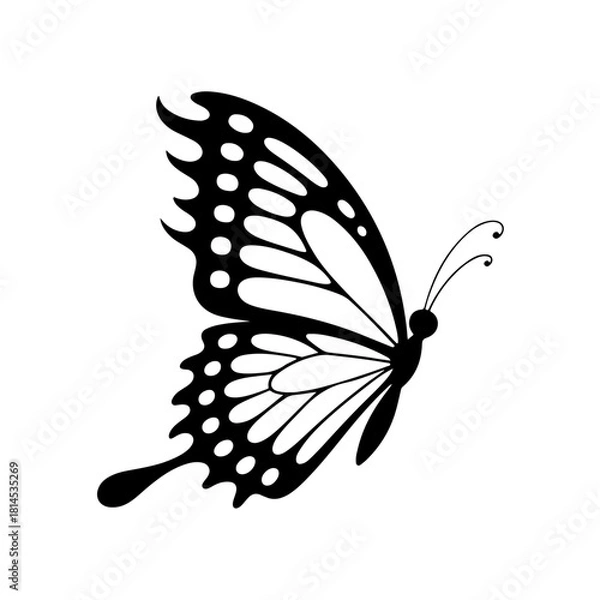 Obraz Grateful Butterfly Clip Art Vector Design