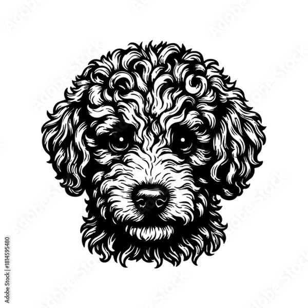 Obraz Animal Clip Art Vector