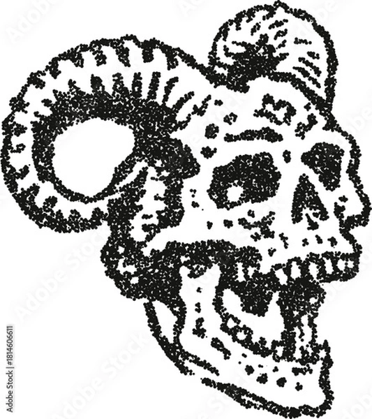 Obraz Ram skull profile vector illustration with large curved horns in vintage stipple dotwork style
