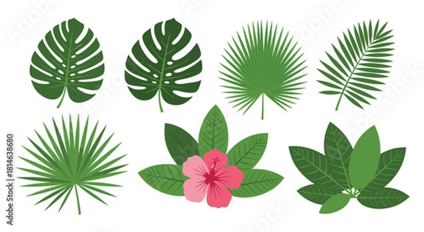 Fototapeta A vibrant set of green tropical leaves like monstera and palm along with a pink hibiscus flower isolated on a white background.