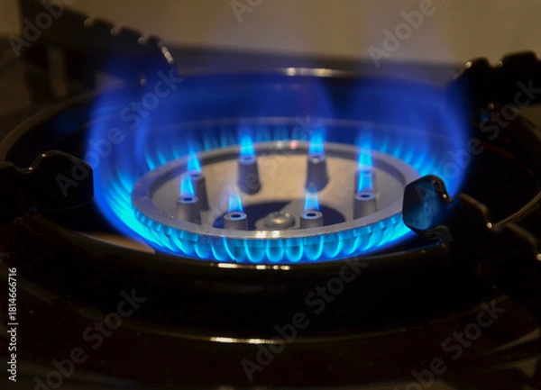 Fototapeta burning gas stove. flame of a gas stove on a dark background close-up. gas crisis and rising energy prices