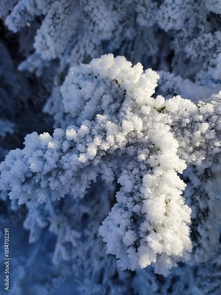 Fototapeta Eiskristalle 