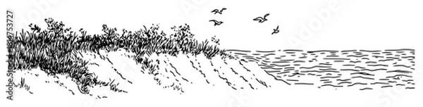 Fototapeta seashore with grass and flying birds sketch