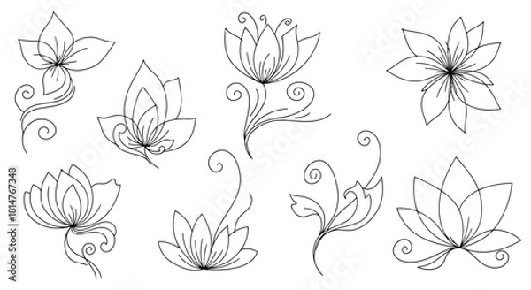 Obraz Hand drawn flower collection isolated on, featuring delicate floral elements and intricate line work
