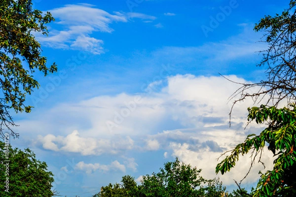 Obraz Blue sky with clouds