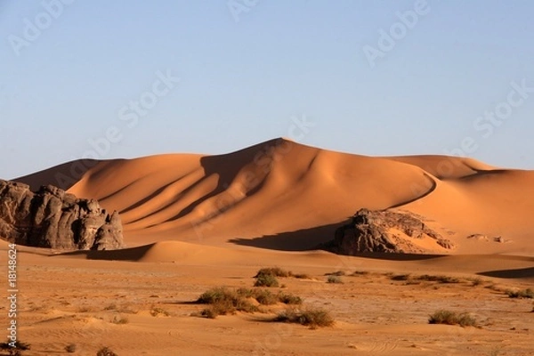 Obraz Sceny pustynne 14