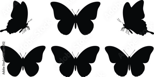 Fototapeta Butterfly silhouettes collection in various poses for creative designs and artwork 