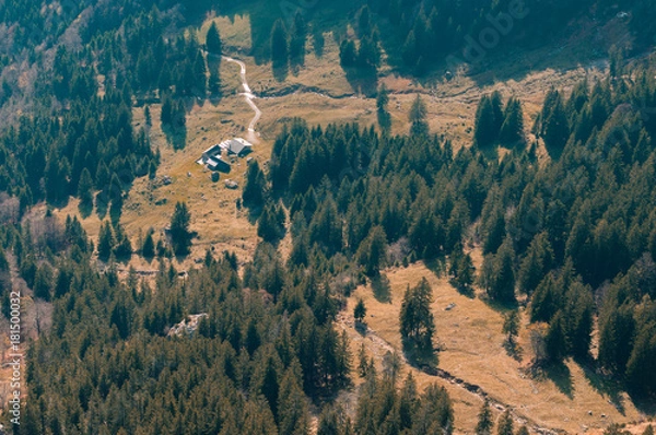 Obraz cabin in the forest from above