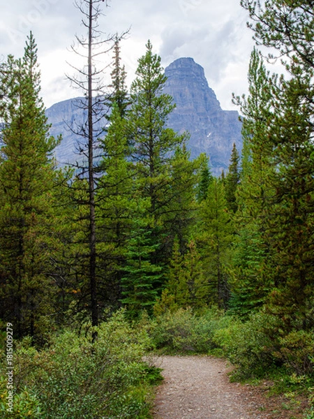 Fototapeta Mount Chephren