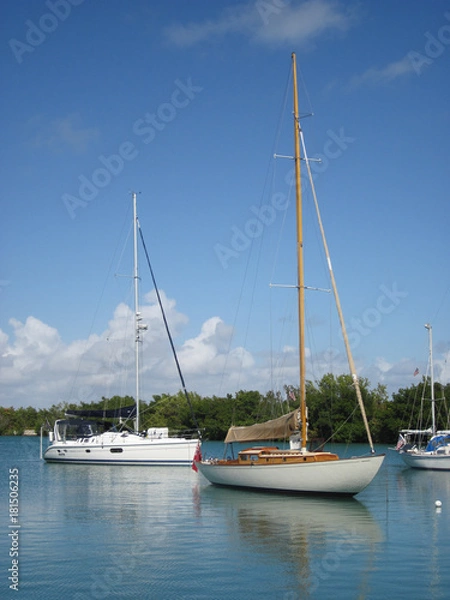 Obraz Sailboats in harbor