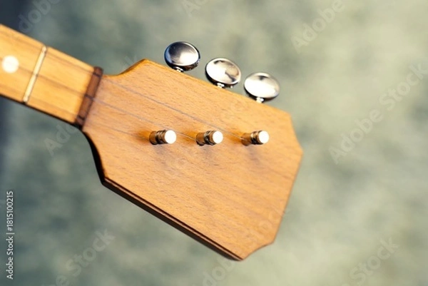 Fototapeta Wooden balalaika neck with three tuning pegs and attached metal strings