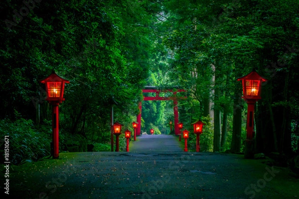 Obraz Nocny widok podejścia do świątyni Hakone w lesie cedrowym. Z wieloma czerwonymi latarniami i wielką czerwoną bramą torii
